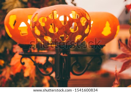 beautiful carved pumpkins put on a light bulb create a Halloween atmosphere. the lanterns Shine beautifully with warm light.