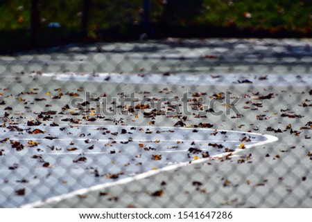 Dried Autumn Leaves Scattered on an Outside Basketball Court Abstract