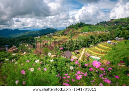 The view of flowers garden and  the mountain.