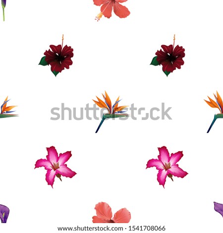 Purple Calla. Red Hibiscus. Orange Strelitzia Reginae. Red Rose Mallow. Pink Adenium. Vector illustration. Seamless background pattern. Floral botanical flower. Wild leaf wildflower isolated. Exotic.