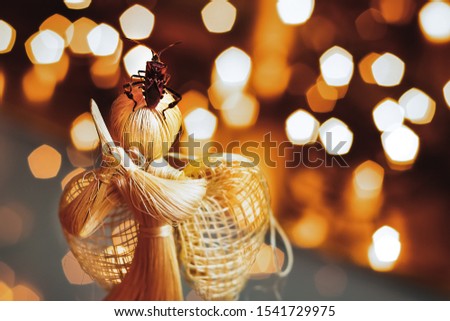 Western conifer seed bug sitting on a straw Christmas angel on a blurred background with Christmas lights. Leptoglossus occidentalis. Royalty-Free Stock Photo #1541729975