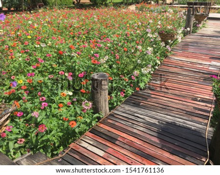 The walkway in the park is decorated with small square planks painted in various colors, and beside the path are flower pots and colorful flower beds.