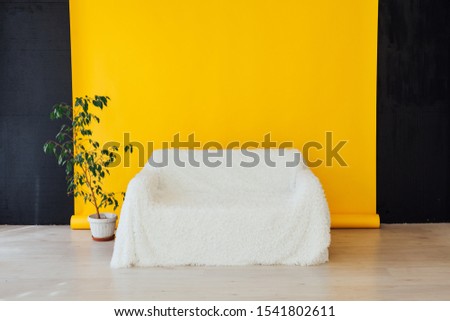 white sofa with green home plant in the interior with a yellow background