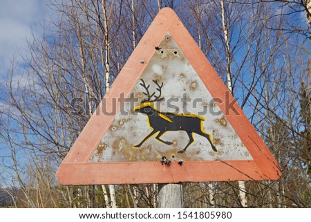 Road sign wild deer and animals on the background of the winter forest, close-up