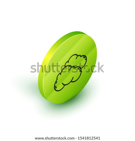Isometric line Cloud icon isolated on white background. Green circle button. Vector Illustration