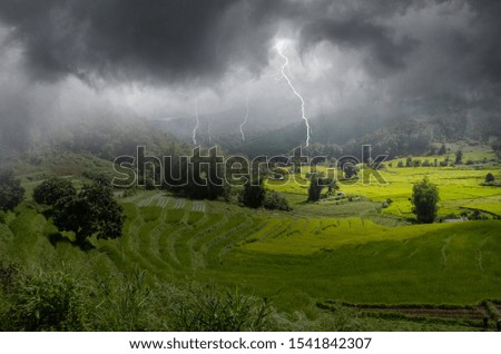 Dangerous lightning over the forest in the valley
