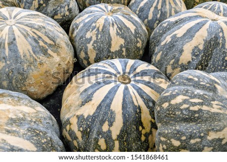 a lot of pumpkin at market.