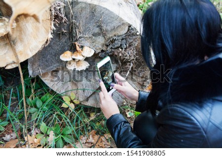 A wooman photographs mushrooms on a smartphone. Edible non-edible mushrooms concept photo