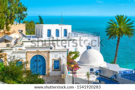 Sidi Bou Said, a famous village with traditional white and blue Tunisian architecture, Tunisia. Royalty-Free Stock Photo #1541920283