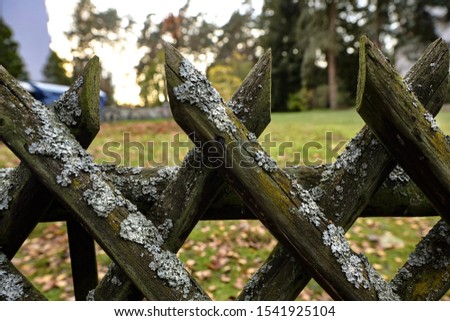 Wooden old fence with moss