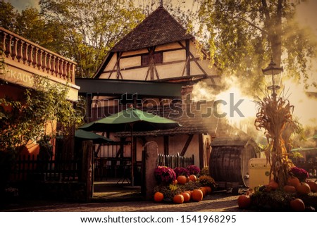 Landscape shop of a house on the border of a forest near Rust in southern Germany, with smoke and sunlight rays in the background
