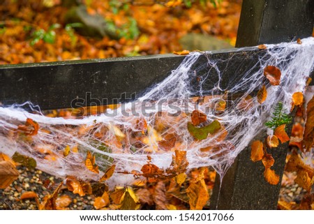 White spider Web and lantern on wooden bridge in autumn forest on Halloween holiday.