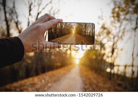 Using a mobile phone. Taking a photo of an autumn alley