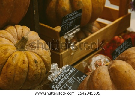 Pumpkins in wooden boxes with price tags on a counter in a store.