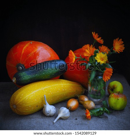 The picture was taken in 2019.In the picture pumpkin, zucchini, nasturtium flowers, garlic, onions.