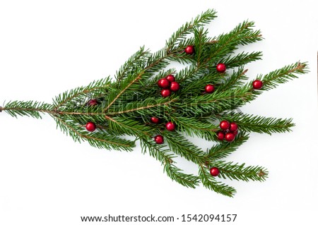 Branch of a natural Christmas tree with red balls of berries
