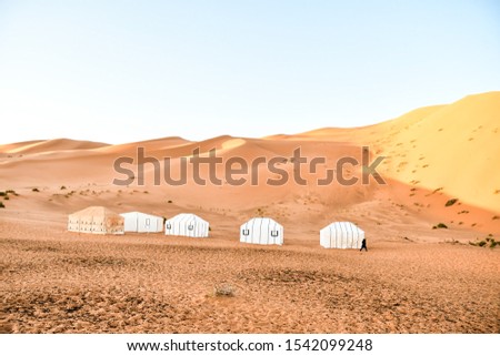desert in mongolia, photo as background , Beautiful digital image , Beautiful digital image