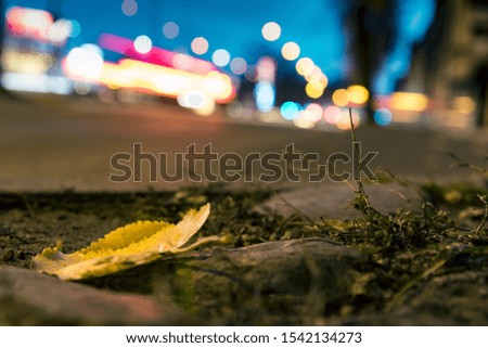 One yellow leaf on an enge of road in a small town.