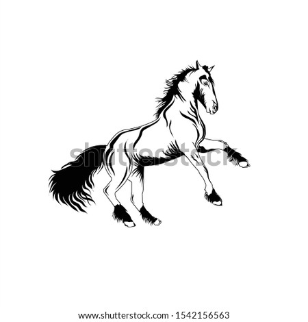 This is a horse vector that can be used for shirts, posters, mugs and totebags