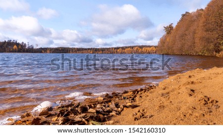 sandy beach by the lake with autumn forest around. Sunny day and colorful trees. Autumn landscape