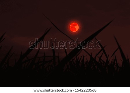 moon in Halloween day with a light dark theme