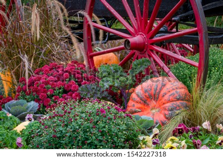 Fall season closeup view of an old time wagon wheel and large orange pumpkin resting in a flower garden with red, green, and yellow blooming flowers during morning golden hour sunlight