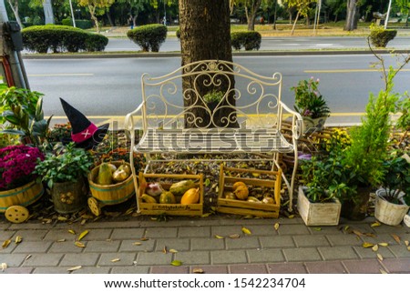 Autumn vibe picture with bench pumpkins flowers and whitchy halloween hat