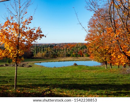 autumn trees with a small pond