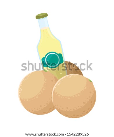 melon juice design, Drink glass beverage fresh food and healthy theme Vector illustration