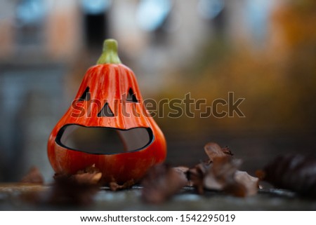 Close-up of orange small halloween pumpkin.