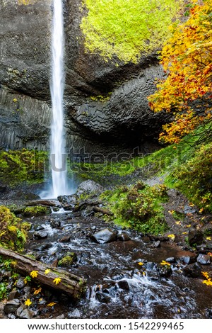 Scenic fall view of the Latourell Falls along the Columbia River Gorge in Oregon. Beautiful golden and red leaves can be seen in the pictures.