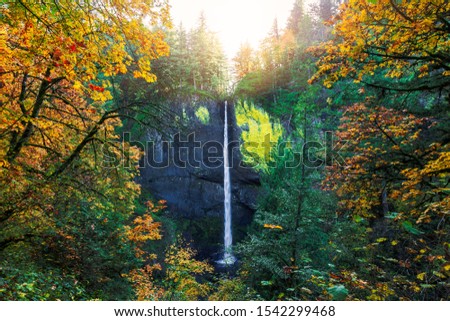 Scenic fall view of the Latourell Falls along the Columbia River Gorge in Oregon. Beautiful golden and red leaves can be seen in the pictures.