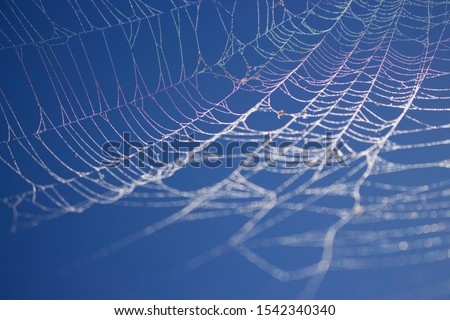 Spider web pattern with a rainbow streak