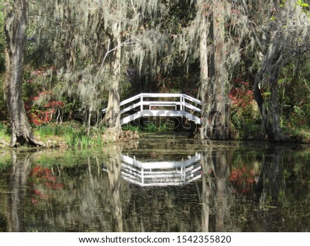 Magnolia plantation old time bridge Charleston SC