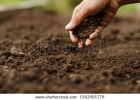 Expert hand of farmer checking soil health before growth a seed of vegetable or plant seedling. Gardening technical, Agriculture concept. Royalty-Free Stock Photo #1542405779