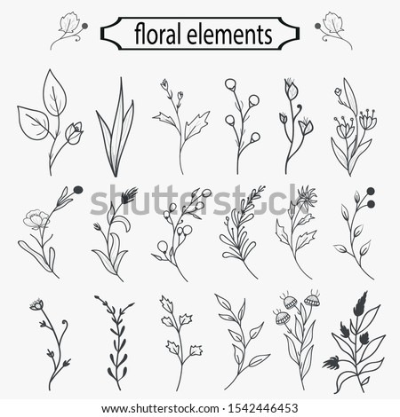 Hand Drawn Floral Elements Design Vector
