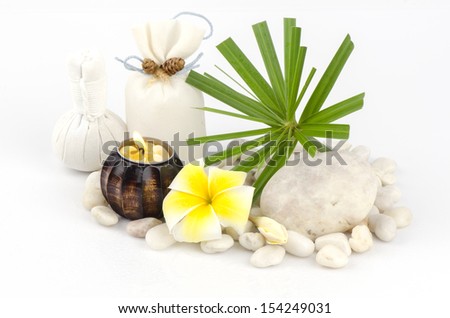 Herbal Ball and Camphor Tree (Cinnamomum camphora (L.) JS Presl) spa for relaxation.