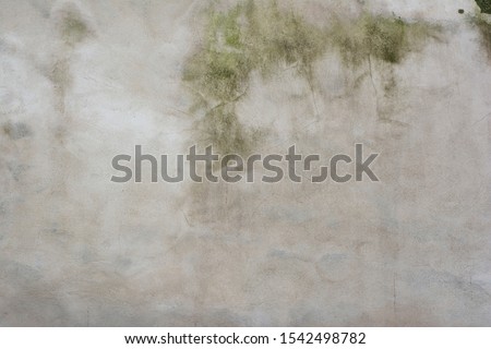 Background of an old concrete wall partially painted white with fine texture and traces of moss and mold from high humidity