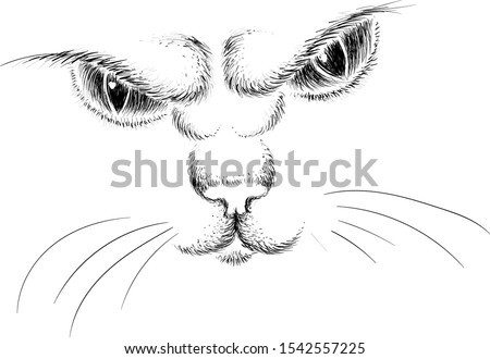 The Vector logo cat for tattoo or T-shirt design or outwear.  Cute print style cat background. This drawing would be nice to make on the black fabric or canvas.