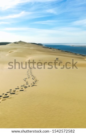 Alone in the dune. Photography taken in the Dune du Pilat spot in France