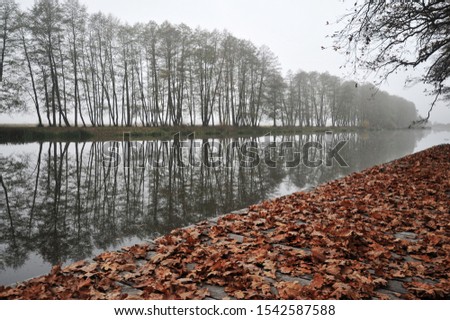 Autumn photo with yellow leaves by a river, trees and fog