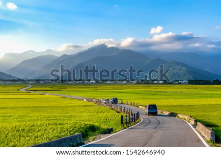 Landscape View Of paddy field At Chishang, Taitung, Taiwan. Royalty-Free Stock Photo #1542646940