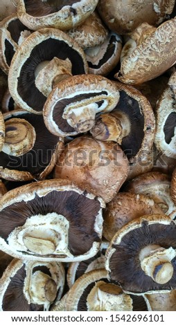 Portobello mushrooms against the background of the portobello mushroom group