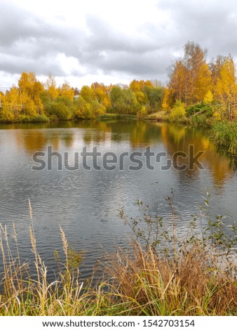 Autumn pond surrounded by colorful trees and shrubs