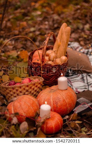 Halloween picnic photo shoot decoration in forest 