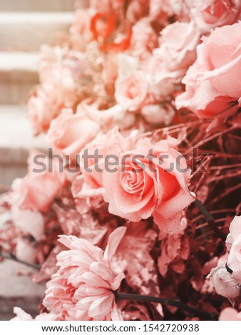 Pink roses ekibana bouquet bunch, shine sunset warm effect. Botanical nature concept. Blurry wallpaper with flowers. Spring template, vivid amazing artistic image, copy space
