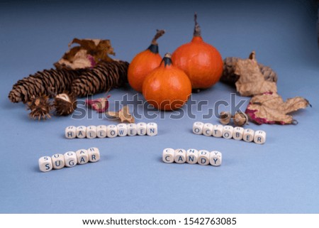Halloween concept with candy, sugar pumpkin, colorful leaves, fir cones and acorns on gray background with copy space