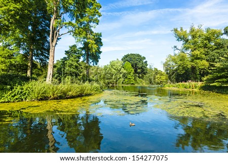 Lush Green Woodland Park Reflecting in Tranquil Pond in Sunshine Royalty-Free Stock Photo #154277075