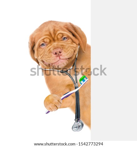 Smiling puppy dressed like a doctor with a stethoscope on his neck holding toothbrush behind empty white banner. isolated on white background