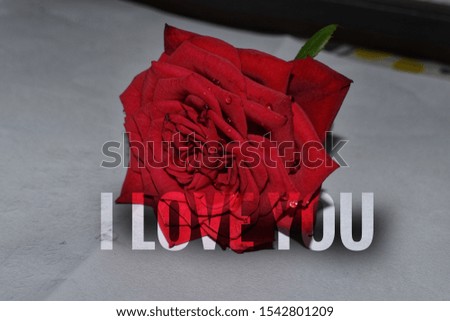 I love you images / photo /picture 